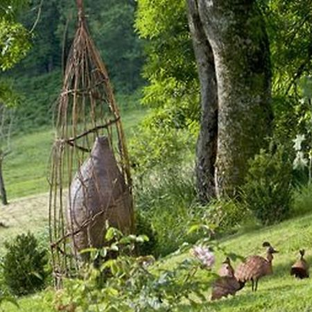 مبيت وإفطار Fons  Domaine De La Piale المظهر الخارجي الصورة